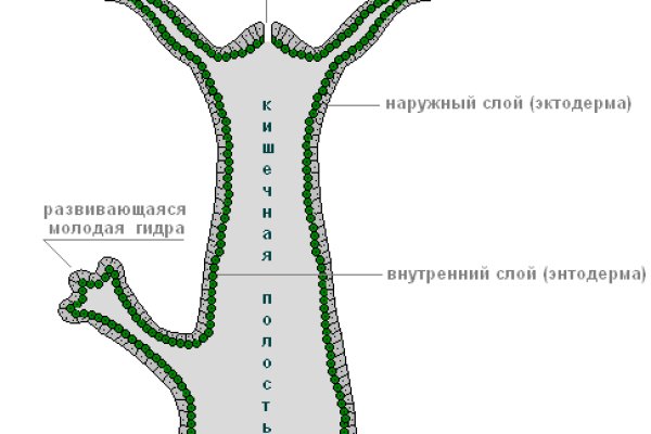 Что случилось с кракеном маркетплейс