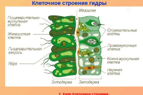 Как пополнить кошелек на кракене даркнет
